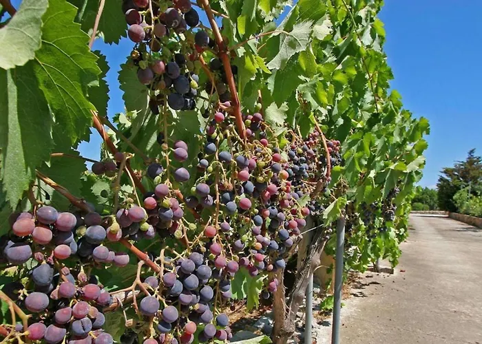 Ferienhaus Ferienvilla Rafalet By Interhome *